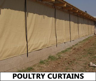 m_chicken curtains and blindss
